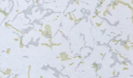 8193