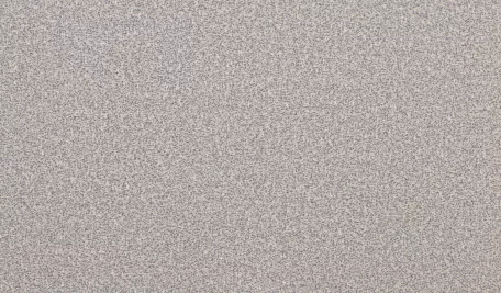 8119
