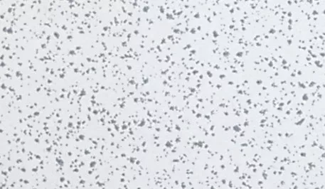 8144